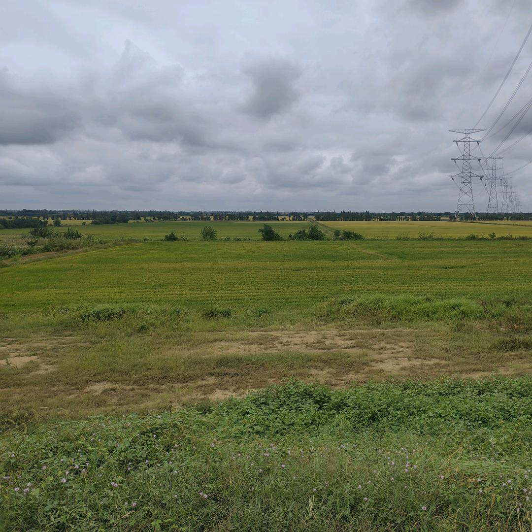 燕子的花花世界