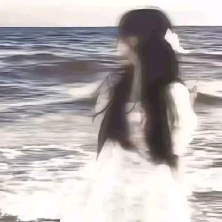 熊猫叮咚  三水