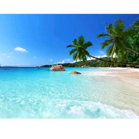 旺旺小虾（手机摄影）