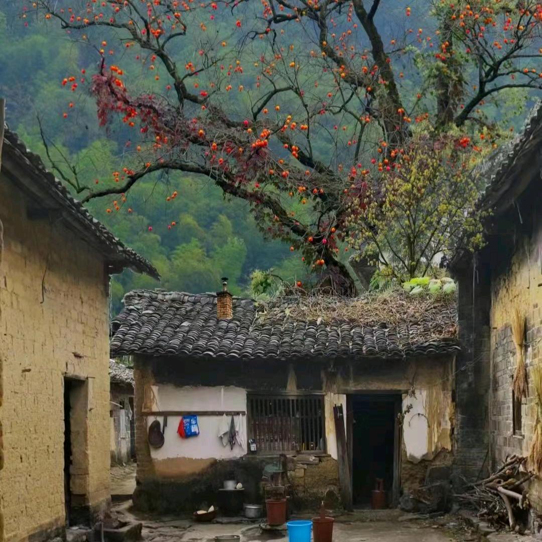 70后农村人