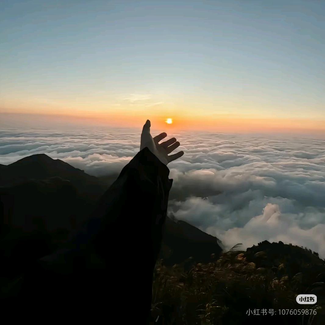 幸雒