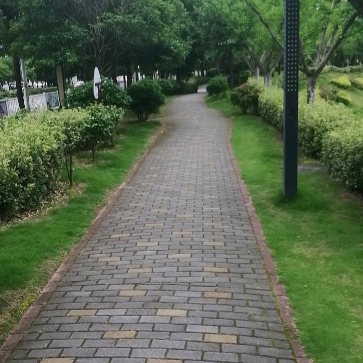 一米阳光