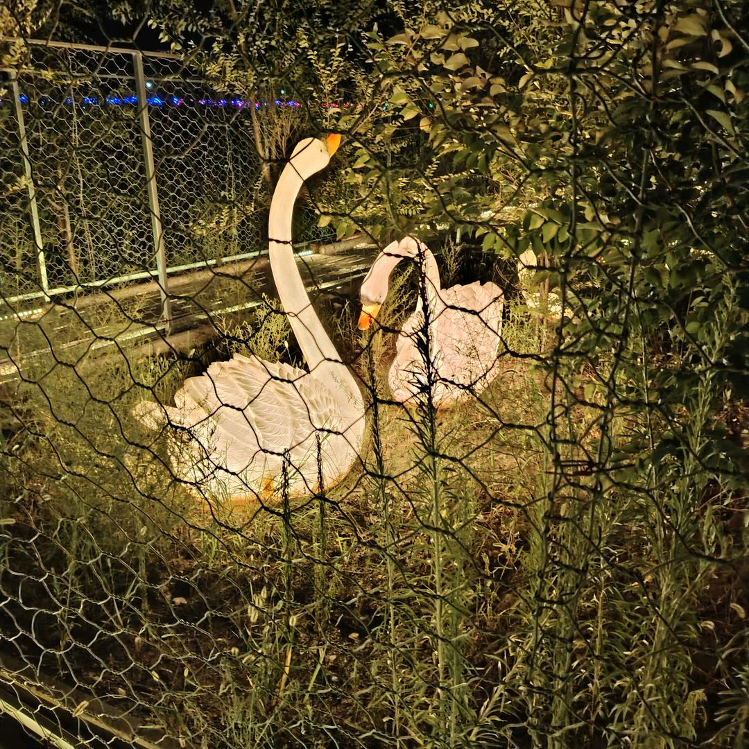 温柔不起来