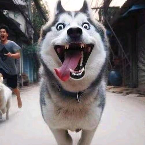 🌈༺ཉིཾご䒕馬滒༧ཉོ༻