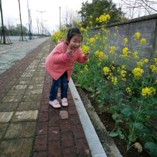 蕊蕊妈