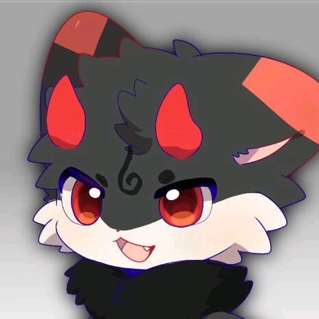 🐾小羽在北京🐾