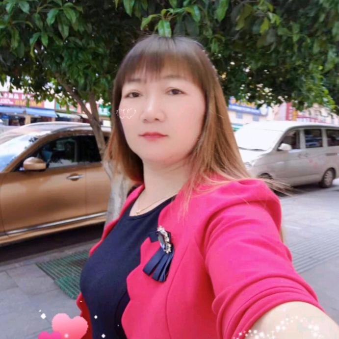 一枝独秀，梅🇨🇳