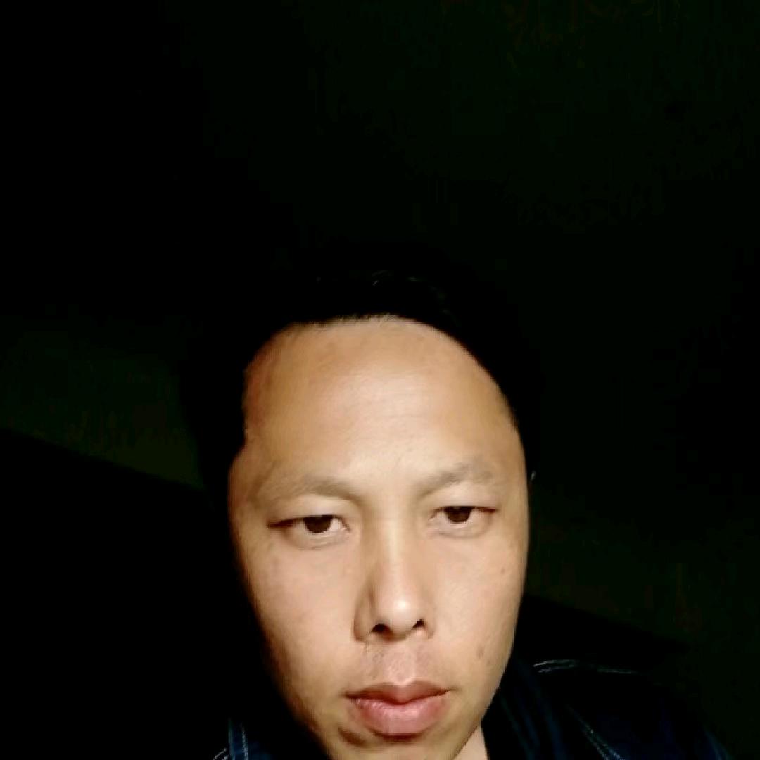 北方小麦穗儿