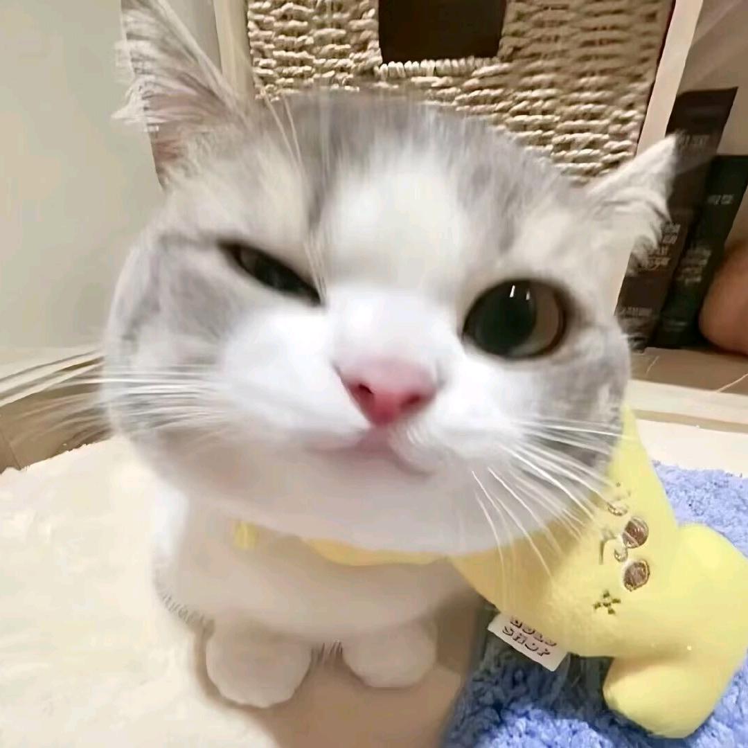 无界竞技体育俱乐部