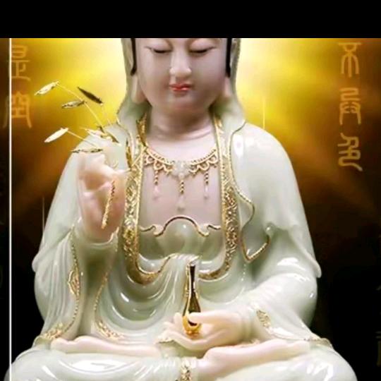 冬天里的白玫瑰