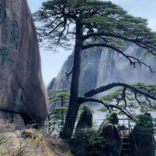 深度思考--等等灵魂