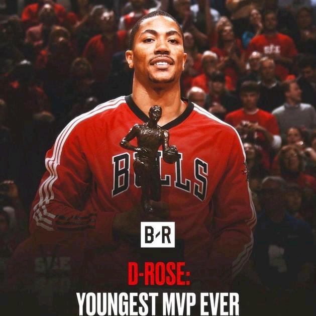 D.rose