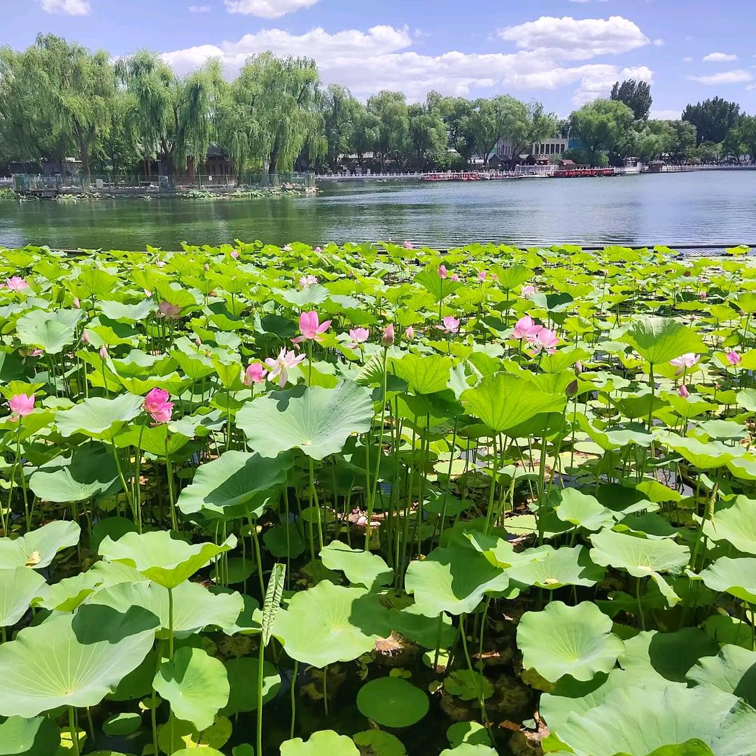 恒达世涛正能量