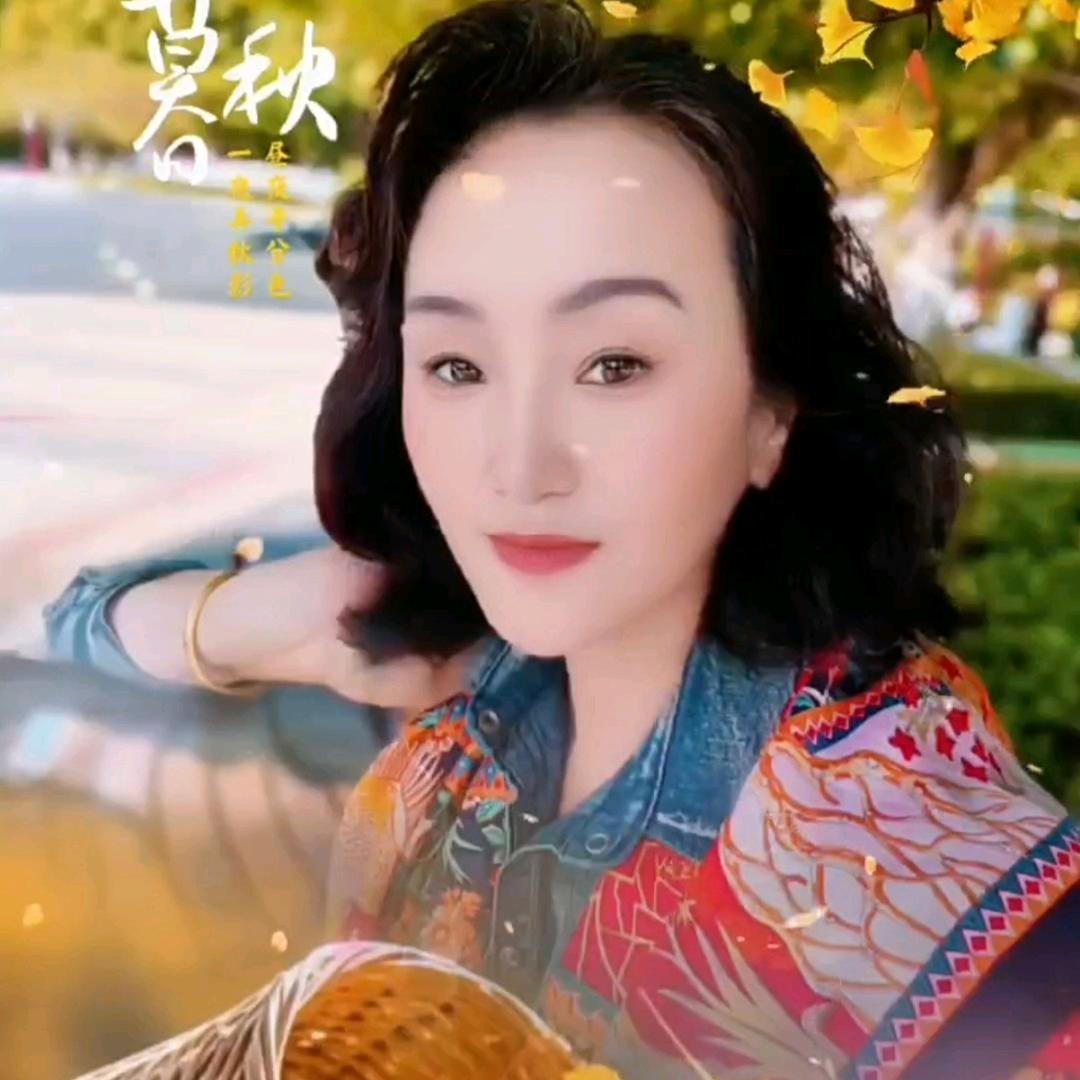 鸿雁，，，