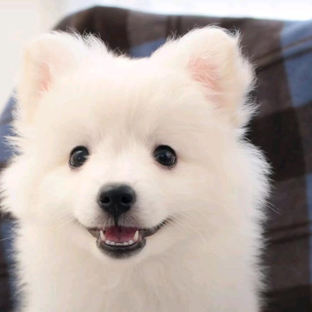 ⁽⁽ଘ( ˙꒳˙ )ଓ⁾⁾