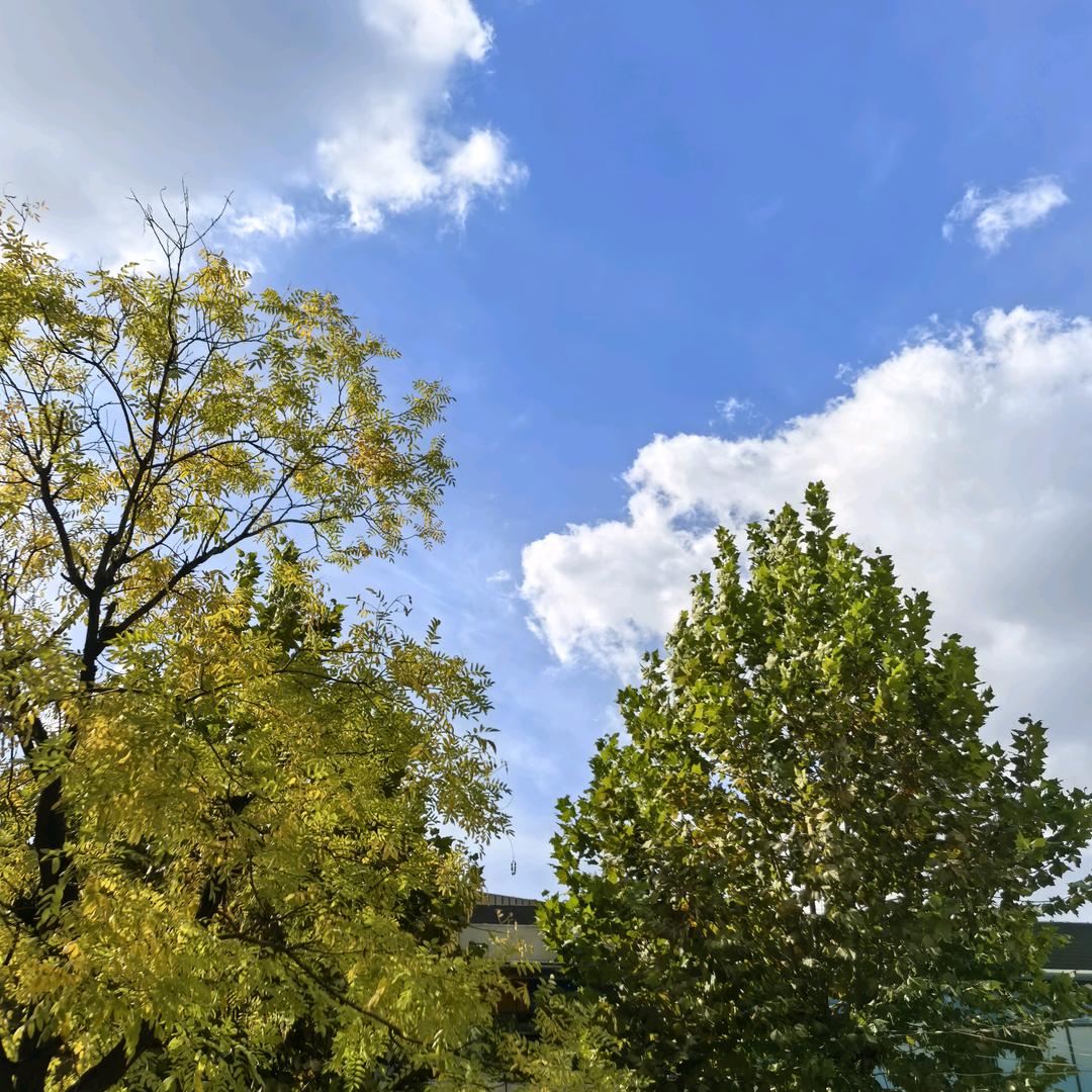 轶群驱虫用品专营店家居净