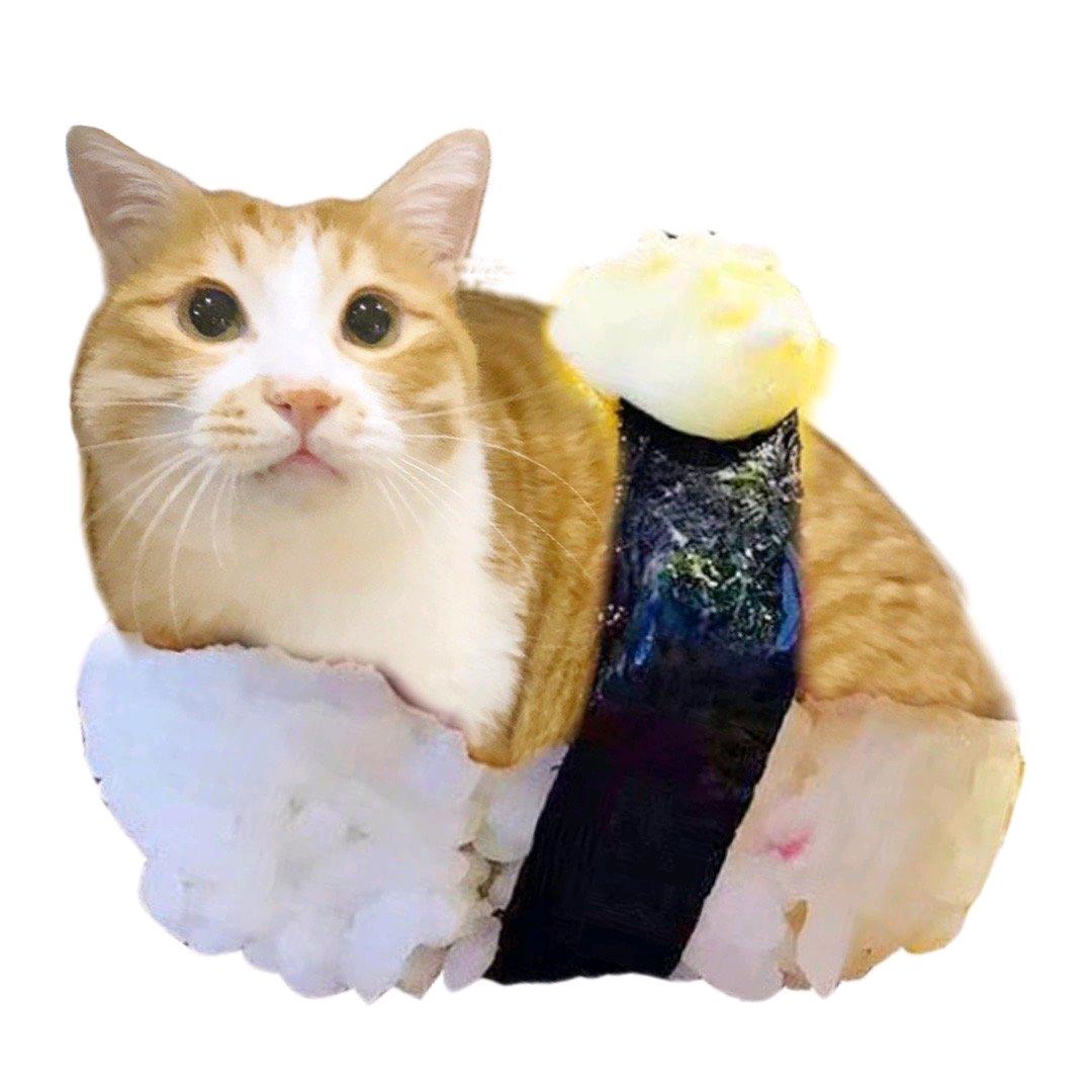 财财
