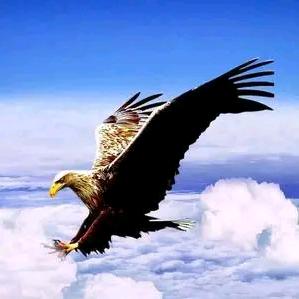 翔空