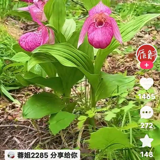 醉红颜
