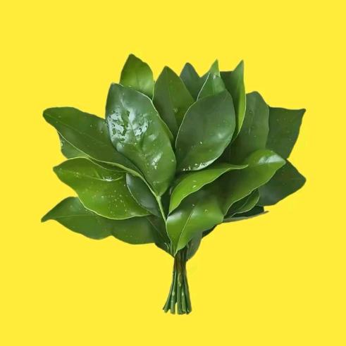 小豆♥🍉🍊🍎🍓