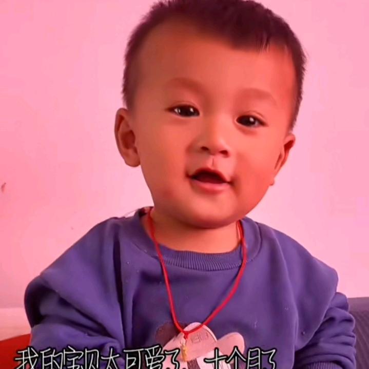 山东尚义虎