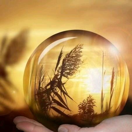 满春⁹⁹²11月20号新公司开业