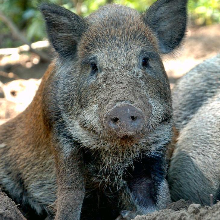 为农民保家护航