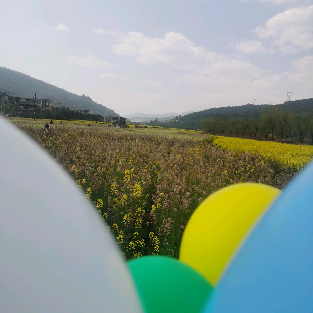 🍊🍊ch西柚un🍊🍊