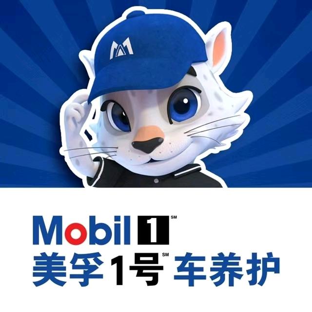美孚1号车养护（临沧泰源诚信店）