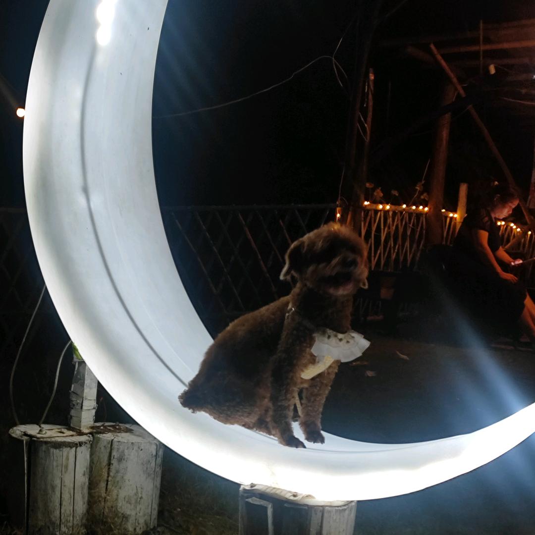 恒口大地魂༆零壹哥