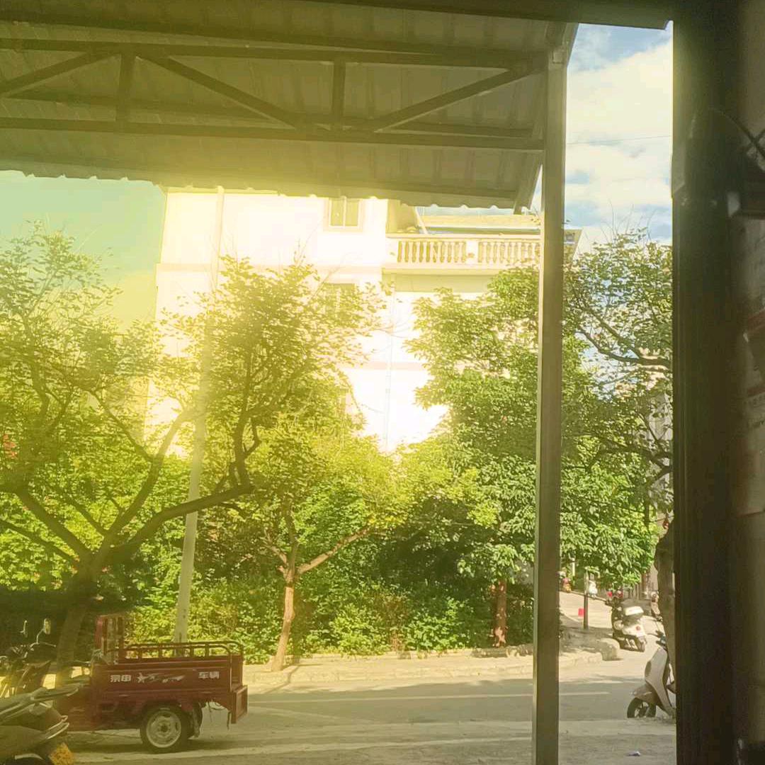 🍀一切🌺随缘💞💕🟩