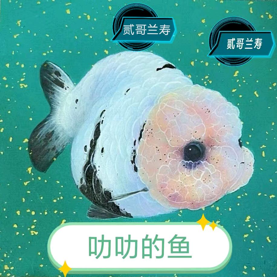 75683869969
