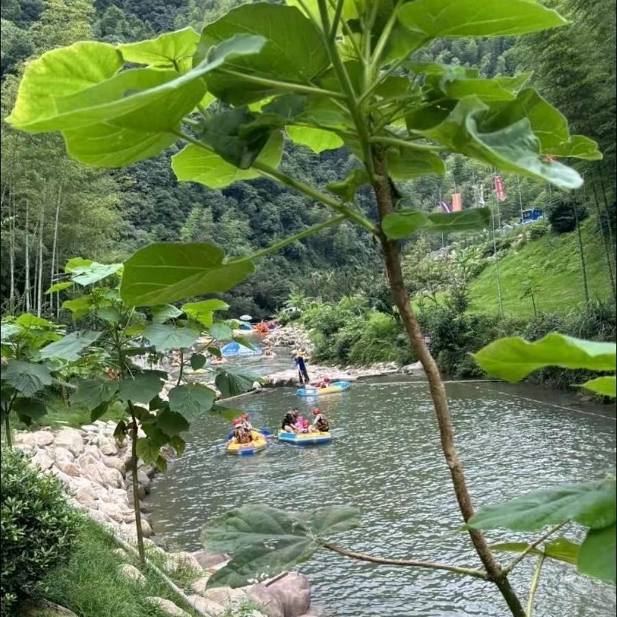 西西游玩推荐官