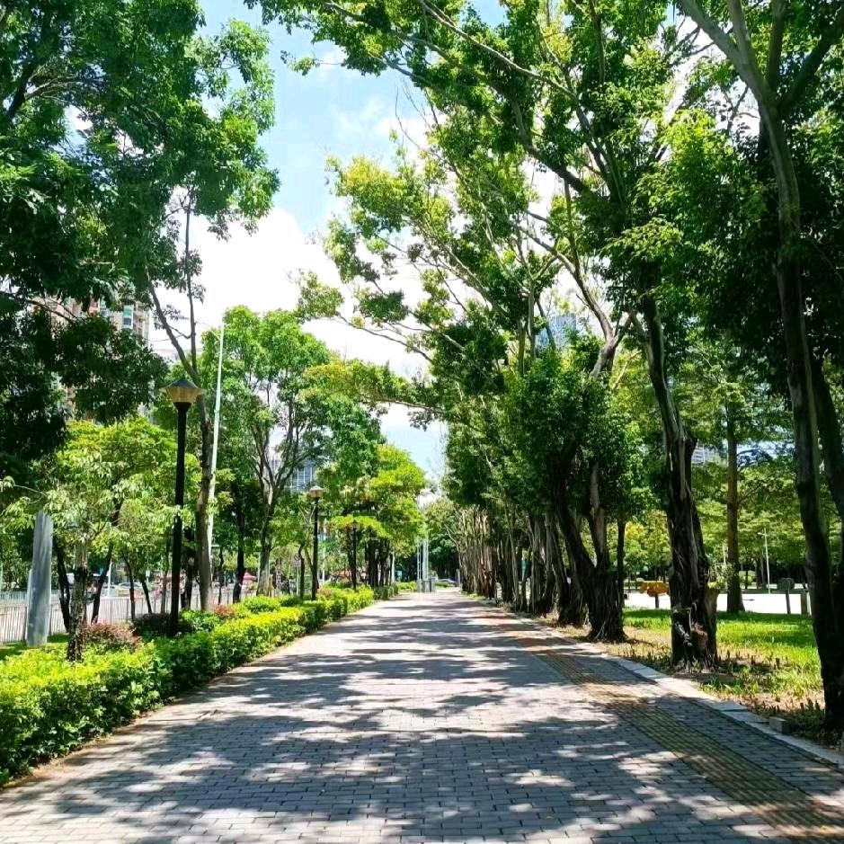 栀子花开