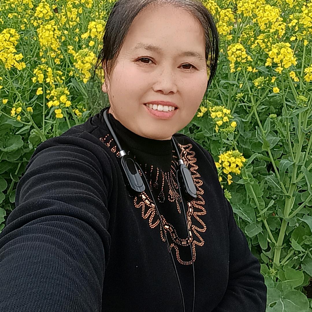 甘姐小号