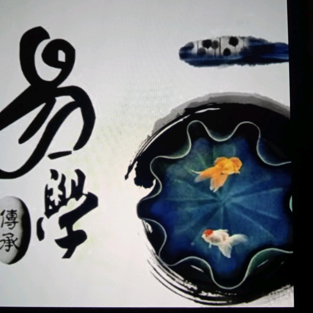 易褂师兄
