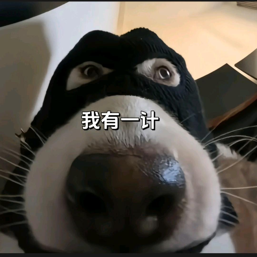 撤退的大野猪