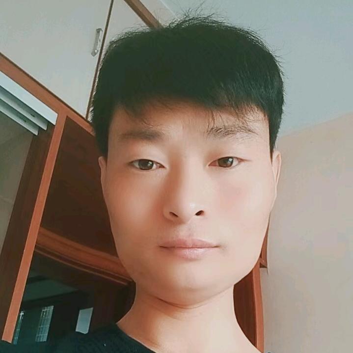 @亲情树