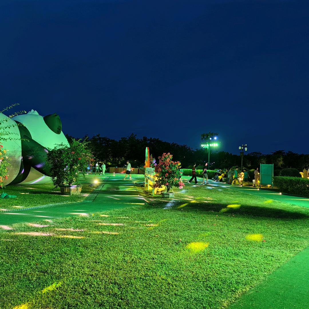 孤身一人闯天下