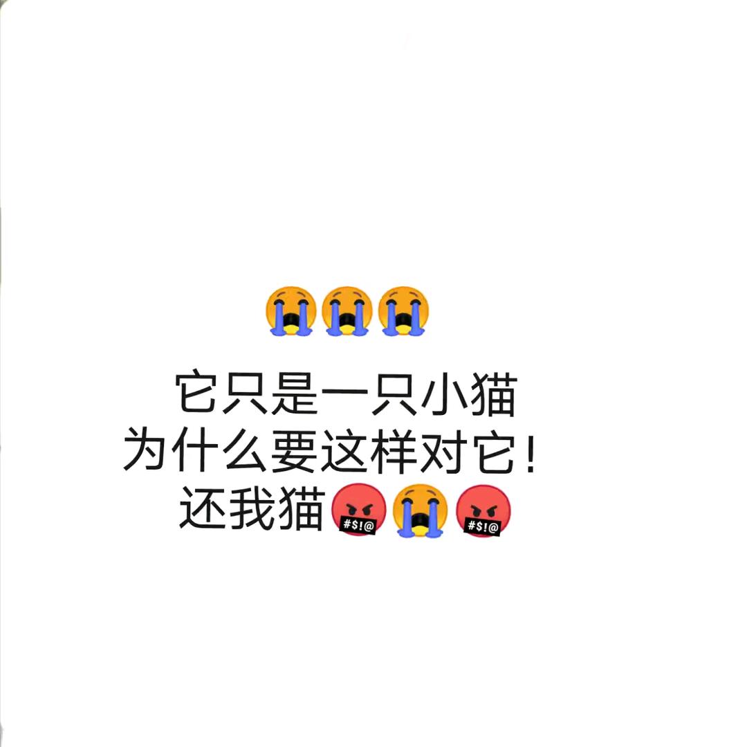 ……………头像