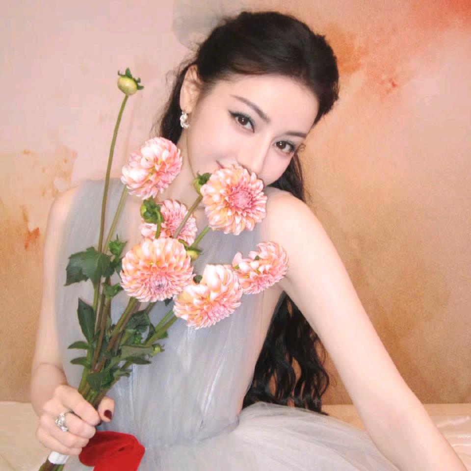 左肩蝶舞