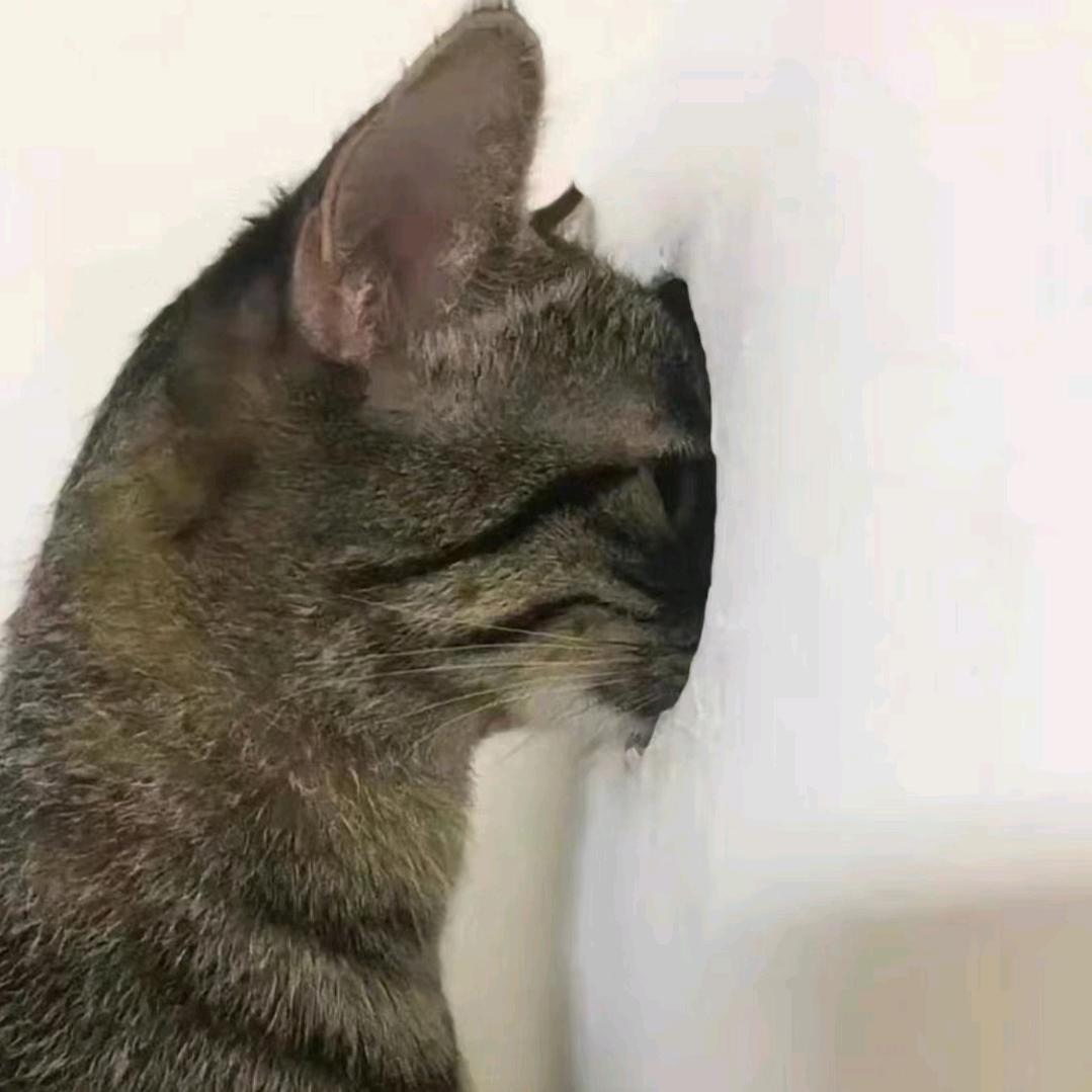 阿莹爱吃烧冬瓜