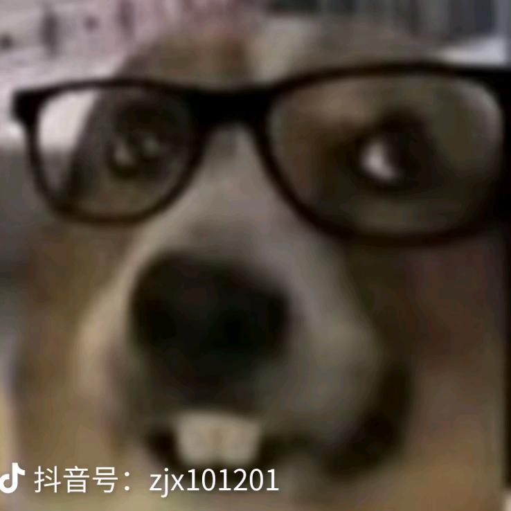劳九门