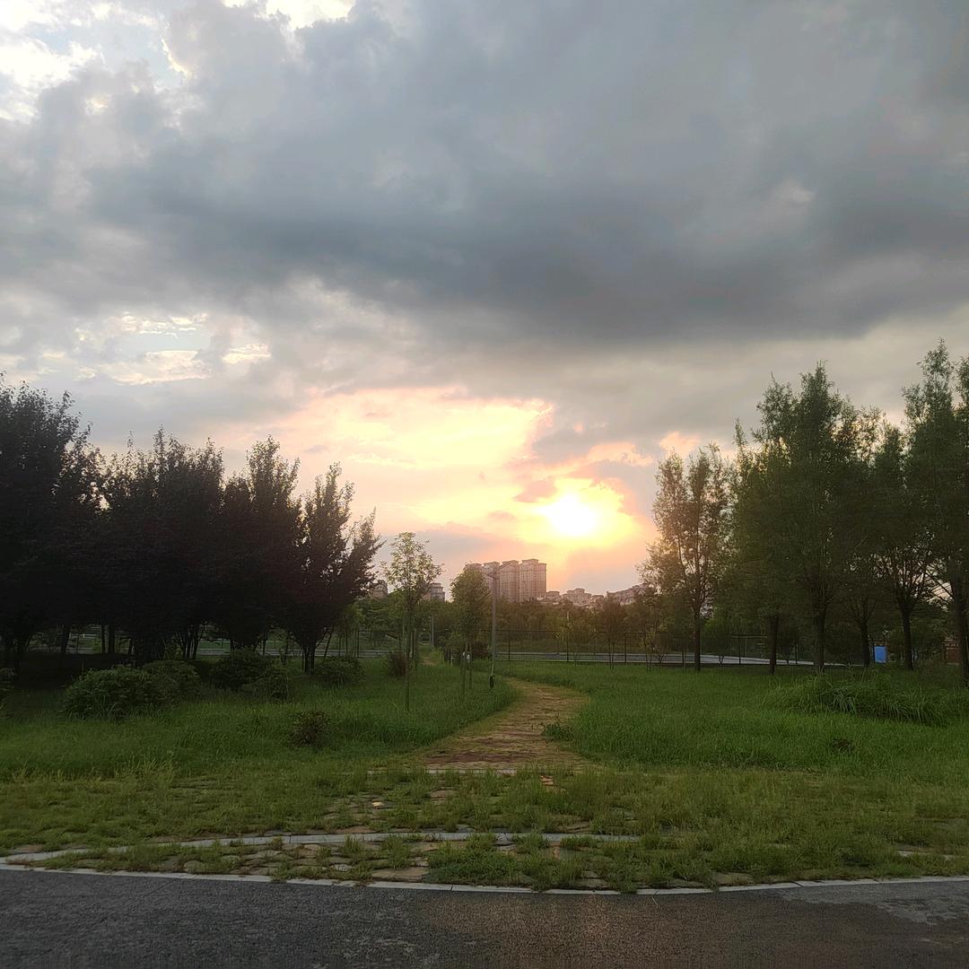 渡我不渡她