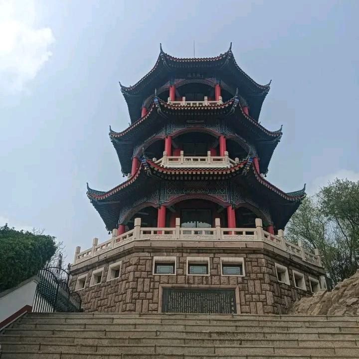 未来可期！杨哥