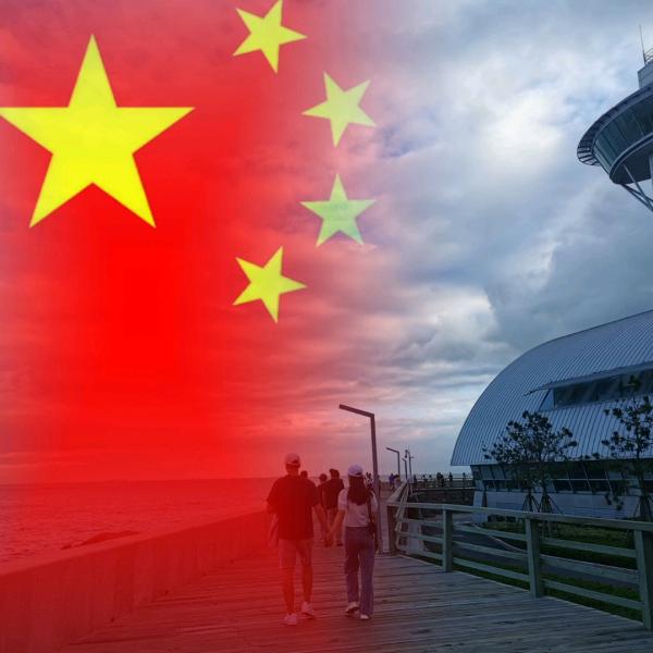 蟑螂恶霸🪳🪳