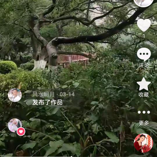 风水明月