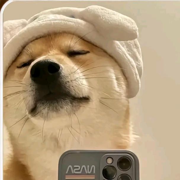 蜡笔小爹