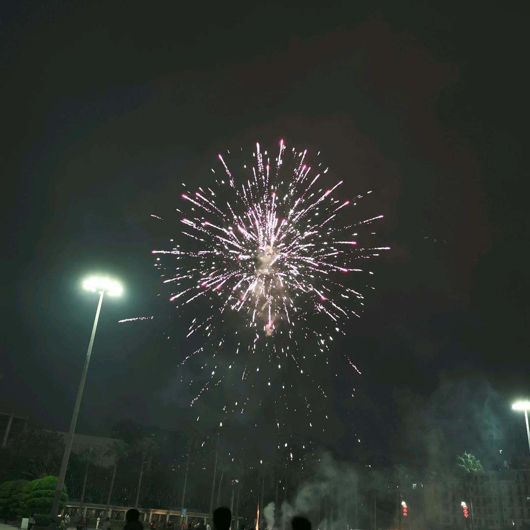 悠悠我心