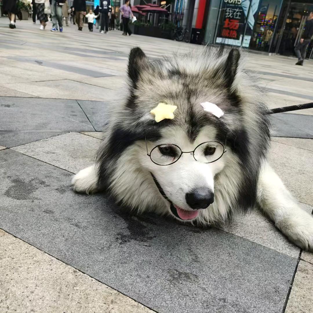 热黑开